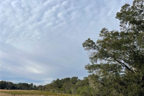 Terreno en venta en Groveland, Florida № 1286096 - foto 7
