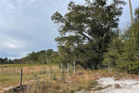 Terreno en venta en Groveland, Florida № 1286096 - foto 1