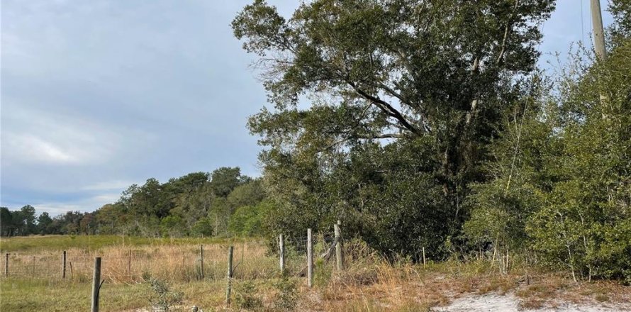 Terreno en Groveland, Florida № 1286096