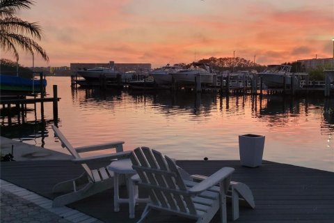 Villa ou maison à vendre à Saint Petersburg, Floride: 3 chambres, 172.61 m2 № 1688447 - photo 3