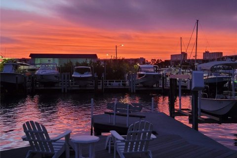 Villa ou maison à vendre à Saint Petersburg, Floride: 3 chambres, 172.61 m2 № 1688447 - photo 6