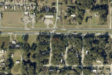 Land in Ocala, Florida № 2202111 - photo 2