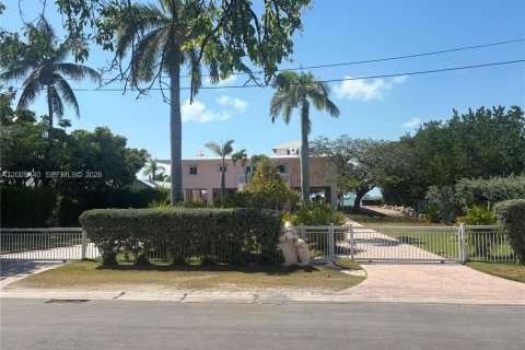 Villa ou maison à Islamorada, Village of Islands, Floride 8 chambres № 2072682