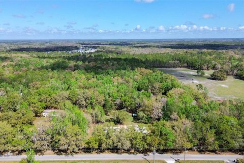 Terreno en venta en Lakeland, Florida № 2155308 - foto 11