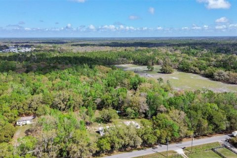 Terreno en venta en Lakeland, Florida № 2155308 - foto 9