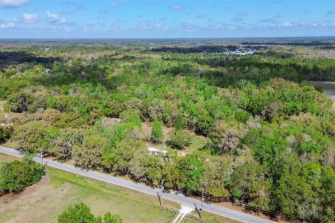 Terreno en venta en Lakeland, Florida № 2155308 - foto 12