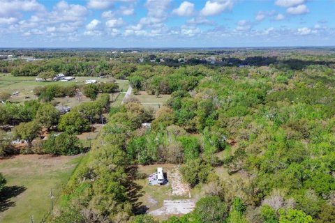 Terreno en venta en Lakeland, Florida № 2155308 - foto 17