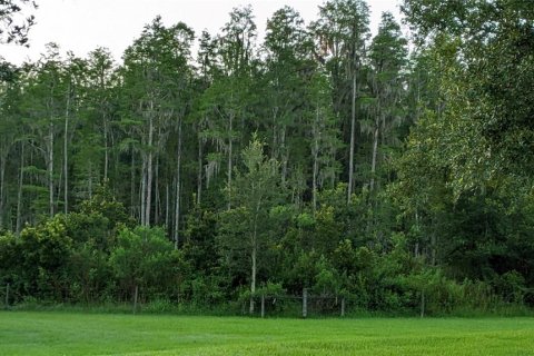 Купить таунхаус в Тампа, Флорида 10 комнат, 147.44м2, № 1784333 - фото 7