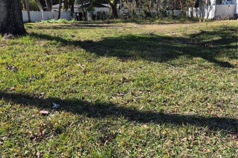 Terreno en Tampa, Florida № 2118339