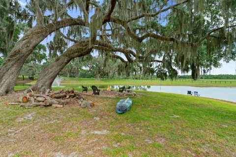 Studio in Micanopy, Florida № 1873957 - photo 19