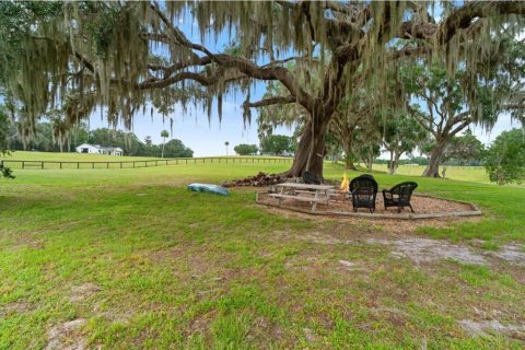 Studio in Micanopy, Florida № 1873957 - photo 18