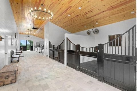 Studio in Micanopy, Florida № 1873957 - photo 4