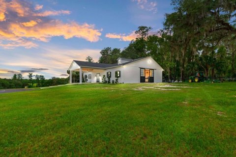 Studio in Micanopy, Florida № 1873957 - photo 1