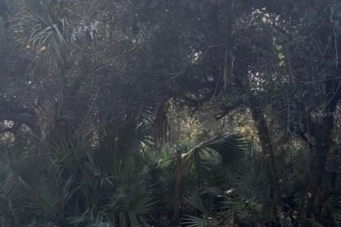 Land in Orlando, Florida № 2161992