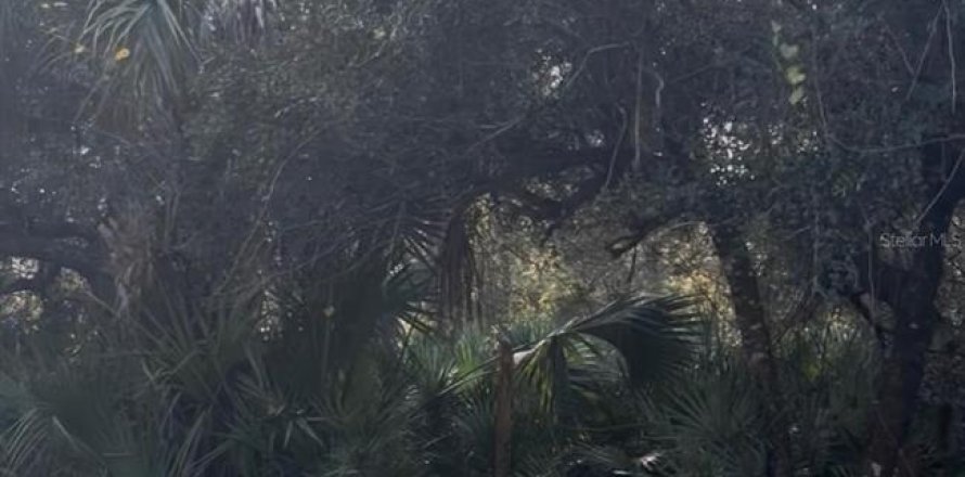 Land in Orlando, Florida № 2161992