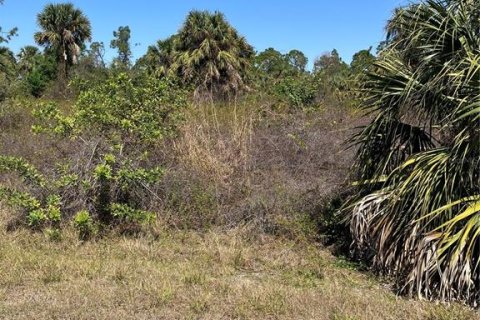 Land in North Port, Florida № 2163906 - photo 7