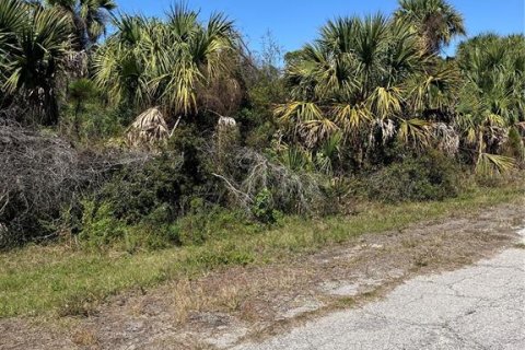 Land in North Port, Florida № 2163906 - photo 3