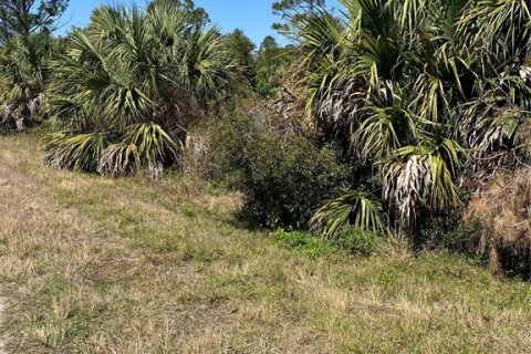 Land in North Port, Florida № 2163906 - photo 2
