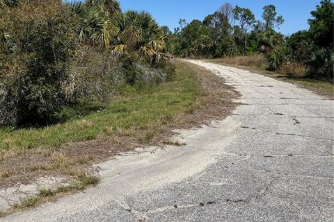 Land in North Port, Florida № 2163906 - photo 4