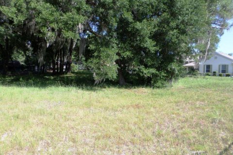 Terrain à vendre à Dunnellon, Floride № 1214538 - photo 1