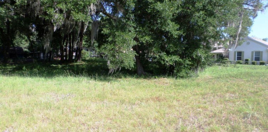 Terrain à Dunnellon, Floride № 1214538