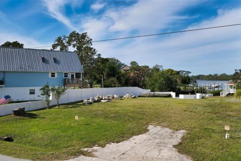 Land in Nokomis, Florida № 2213843