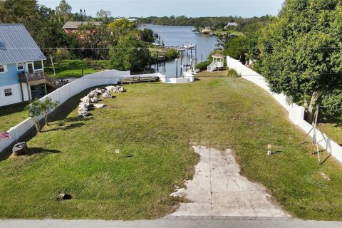 Land in Nokomis, Florida № 2213843 - photo 3