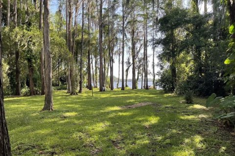 Villa ou maison à louer à Odessa, Floride: 3 chambres, 251.67 m2 № 2403036 - photo 3