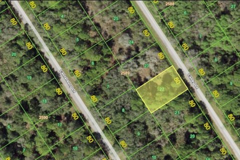 Land in Port Charlotte, Florida № 2165374
