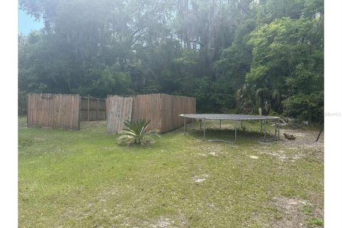 Land in Palatka, Florida № 2161441 - photo 4