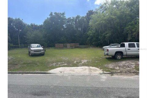 Land in Palatka, Florida № 2161441