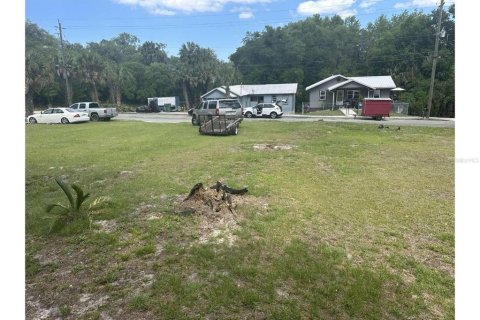 Land in Palatka, Florida № 2161441 - photo 3