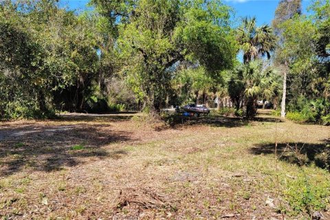 Land in Punta Gorda, Florida № 1561751 - photo 6