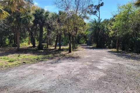 Land in Punta Gorda, Florida № 1561751 - photo 1