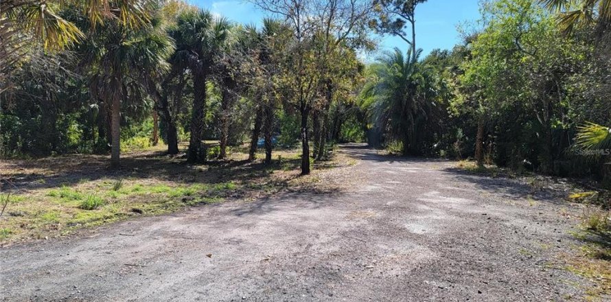 Land in Punta Gorda, Florida № 1561751