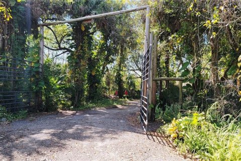 Land in Punta Gorda, Florida № 1561751 - photo 4