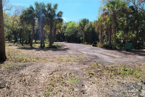 Land in Punta Gorda, Florida № 1561751 - photo 3