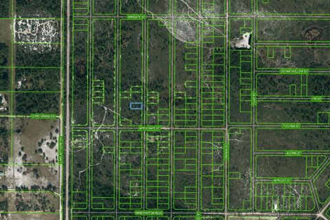 Land in Lake Placid, Florida № 2224057