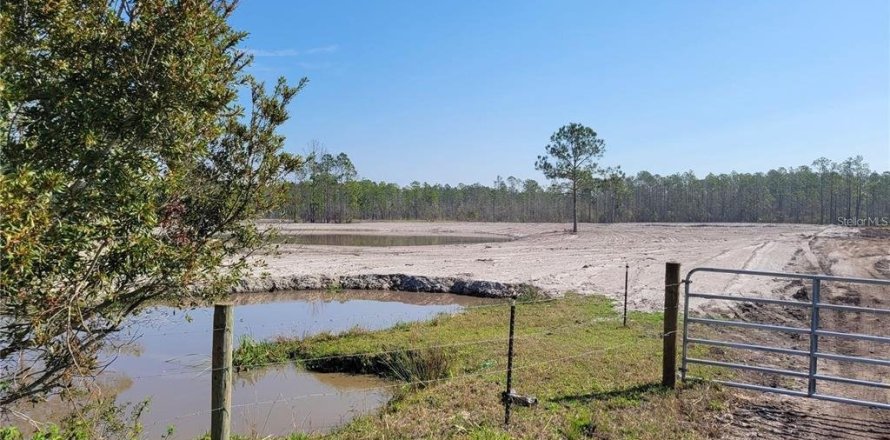Land in New Smyrna Beach, Florida № 1525678