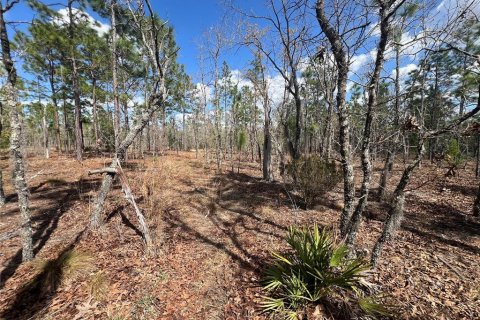 Terreno en Hawthorne, Florida № 2099001