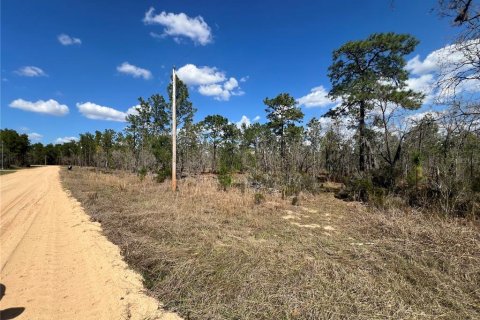 Land in Hawthorne, Florida № 2099001 - photo 7