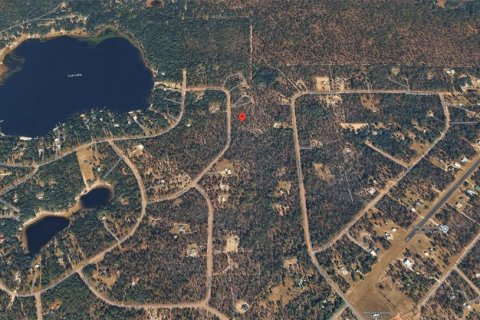 Land in Hawthorne, Florida № 2099001 - photo 5