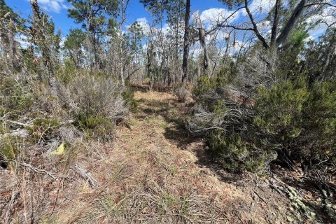 Land in Hawthorne, Florida № 2099001 - photo 8