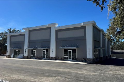 Commercial property in Tampa, Florida № 2116957 - photo 2