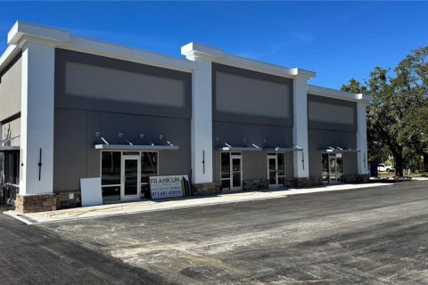 Commercial property in Tampa, Florida № 2116957 - photo 3