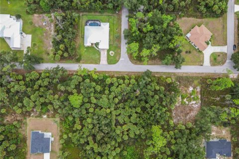 Land in Port Charlotte, Florida № 2165399 - photo 3