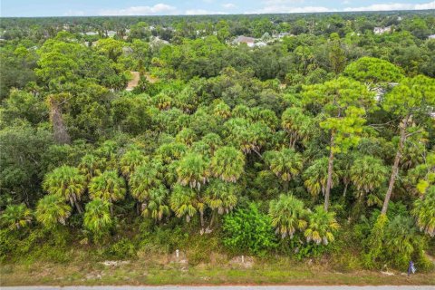 Land in Port Charlotte, Florida № 2165399