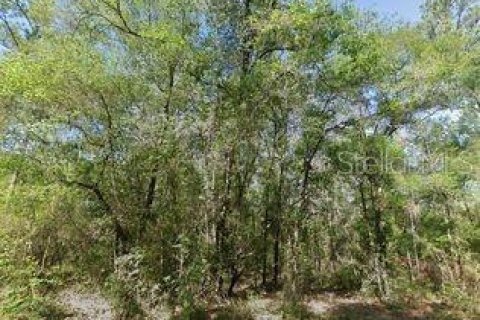 Land in Dunnellon, Florida № 2161142