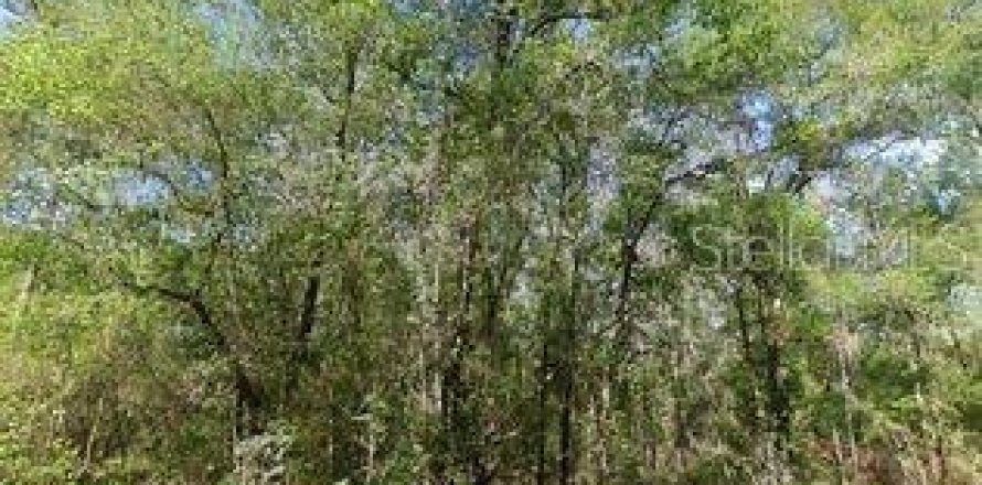 Land in Dunnellon, Florida № 2161142