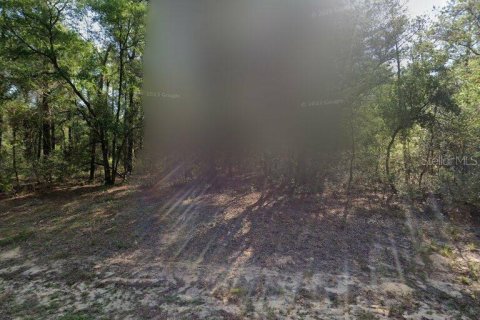 Land in Dunnellon, Florida № 2161142 - photo 2